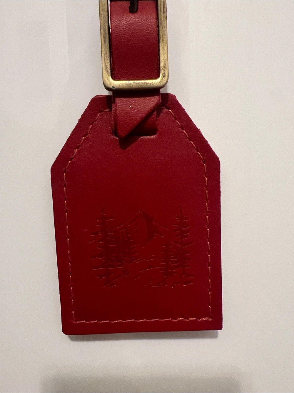 Portland Leather Red Luggage Tag with Brass Buckle - Picture 2 of 4